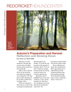 fall newsletter 2015